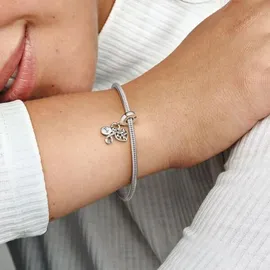Pandora Moments Silber 792201C01