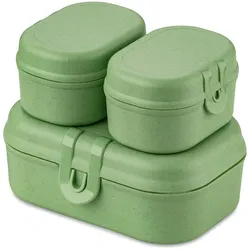 Koziol - Pascal Ready Mini Lunchbox-Set, nature leaf green