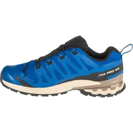 Salomon XA Pro 3D V9 GTX Herren Poseidon/White Pepper/Falcon 46 2/3