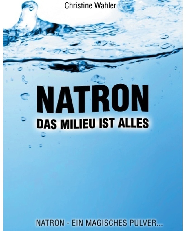 Natron - Christine Wahler  Kartoniert (TB)