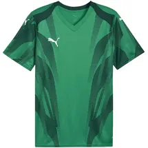 Puma teamFINAL Graphic+ Sport Green/Puma White/Dark Myrtle XXL