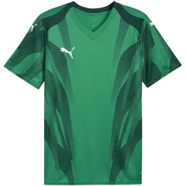 Puma teamFINAL Graphic+ Sport Green/Puma White/Dark Myrtle XXL