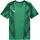 Puma teamFINAL Graphic+ Sport Green/Puma White/Dark Myrtle XXL
