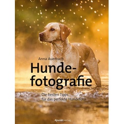 Hundefotografie als Taschenbuch von Anna Auerbach