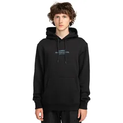 Hoodie ELEMENT "Skateboard Co", Herren, Gr. M, flint schwarz, 40% Polyester, 30% Baumwolle, 30% Baumwolle, Sweatshirts