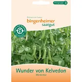 Bingenheimer Saatgut Markerbse demeter