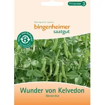 Bingenheimer Saatgut Markerbse demeter