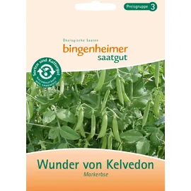 Bingenheimer Saatgut Markerbse demeter