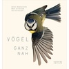 Vögel ganz nah