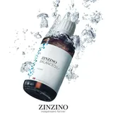 ZinZino BalanceOil+ AquaX - mit Olivenöl, Omega-3, Omega-9, Vitamin D3