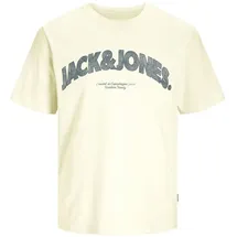 JACK & JONES T-Shirt JORALMERIA Bold Branding Tee SS CN LN mit Print auf der Vorderseite L (52)