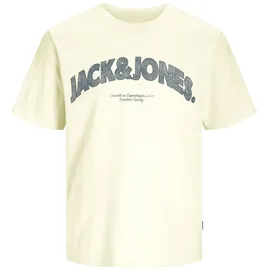 JACK & JONES T-Shirt JORALMERIA Bold Branding Tee SS CN LN mit Print auf der Vorderseite L (52)