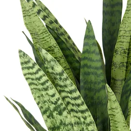 Creativ green Kunstpflanze CREATIV GREEN "Sansevieria zeylanica", grün, H:105cm, Kunststoff, Kunstpflanzen, Kunstpflanze, im eleganten Topf