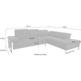 W.Schillig Ecksofa "finn, Designsofa mit tollem Sitzkomfort, bequem, L-Form", gelb (brandy s37), B:281cm H:71cm T:230cm, Flachgewebe S22 (100% Polyester);Stoff S37 (100% Polyester);Longlife Xtra-Leder Z59: Glattleder mit modischer Prägung.