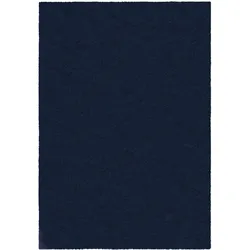 Kadima Design Weicher & Waschbarer Teppich `Gipping Flauschig`. 160x230 cm