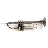 Roy Benson Bb-Trompete TR-101K (ML Bohrung, Edelstahl Ventile, Goldmessing Mundrohr, elegantes Design, im leichten Rechtecketui, mit Rucksackfunktion), Anthrazit