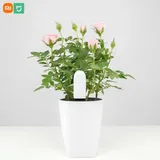 Xiaomi Mi Flower Care Plant Sensor
