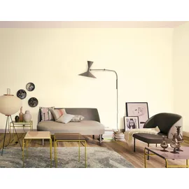 Schöner Wohnen Trendfarbe 2,5 l cashmere matt