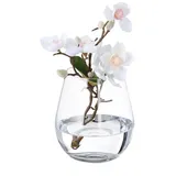 Relaxdays Blumenvase aus Glas Transparent