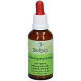 BioPräp Biologische Präparate Handelsgesellschaft mbH Curcumin Flüssigextrakt CurMizell