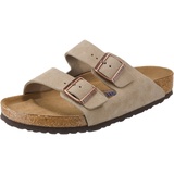 SFB taupe 41