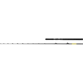 Shimano Steckrute Beastmaster CX Boat Slim 2,29m 20-30lb
