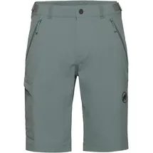 Mammut Runbold IV Shorts Herren Grau 46