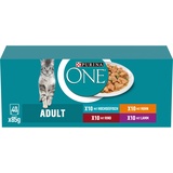 Purina ONE Adult Katzenbeutel MIX-Geschmacksrichtungen in Sauce 40x85g