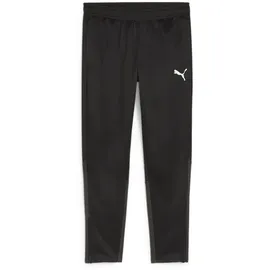 Puma teamGOAL Trainingshose Herren 03 black/white/flat dark gray XL