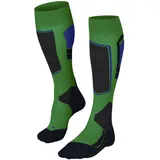 Herren Skisocken SK4 Advanced M Kh Wolle Funktionsmaterial warm dünn 1 Paar Grün Grass Green 7014-O 46-48