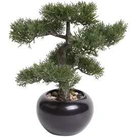 Botanic-Haus Emerald Kunstpflanze Bonsai Zeder Grün 34 cm 420003
