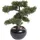 Botanic-Haus Emerald Kunstpflanze Bonsai Zeder Grün 34 cm 420003
