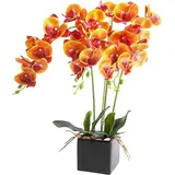 cailion Künstliche Orchideen Kunstblumen Künstliche Phalaenopsis Orchidee Bonsai künstliche Blumen mit Imitation Gefälschte Orchideen für Wohnzimmer Badezimmer Tischdekoration (orange1)