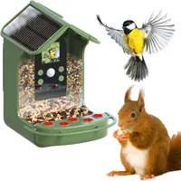 Easypix BirdyCam Vogelhaus Grün