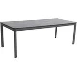 MWH Das Original Alutapo Dining Tisch Aluminium/HPL 220x95 cm