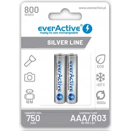 Everactive Akku AA 2000 mAh 2 St.