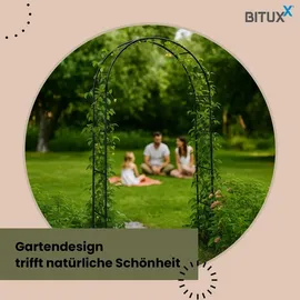 BITUXX Rosenbogen 240 x 0 x 0 cm Schwarz