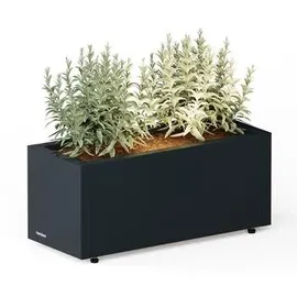 Herstera Cube Balcony M Plus 60 x 25 x 25 cm Anthrazit