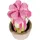 NICI 48942 Blume