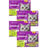 Whiskas Jumbopack Whiskas 1+ Adult Frischebeutel x 85 g - Gemischte Auswahl in Gelee