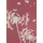 VIVANCE T-Shirt mit Frontdruck Pusteblume Rot 48/50