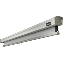 celexon Leinwand Rollo Professional 300 x 169 cm