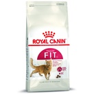Royal Canin Katzenfutter Fit 32 - 4 kg