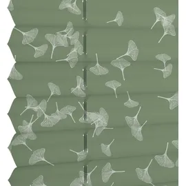 GARDINIA Plissee Dekor Ginkgo Oesyter Mushroom 50 x 130 cm grün