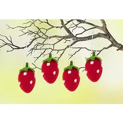 Erdbeeren, 10 cm