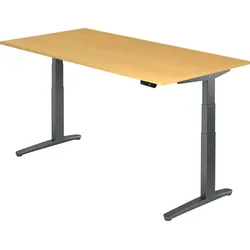 bümö elektrisch höhenverstellbarer Schreibtisch 200x100 cm mit Memory-Steuerung - Design Schreibtisch höhenverstellbar elektrisch, elektrischer