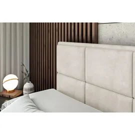 altdecor Boxspringbett mit Matratze, Topper, Polsterbett mit, Bettkasten NOVA KING | Beige Casablanca | 140x200
