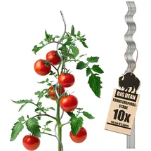 BigDean Tomatenspiralstäbe 110cm