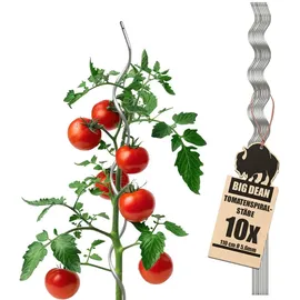 BigDean Tomatenspiralstäbe 110cm