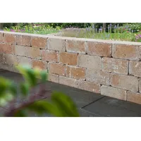 Diephaus Mauerstein Antik gekantet 42 x 21 x 14 cm gelb
